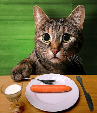 Illustration for article titled What's the Best Side Dish for Enchiladas? (TW: Inane)